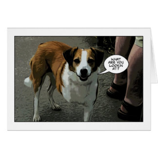 chien trois à jambes