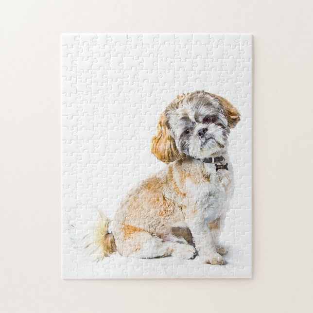 Chien Tzu Puzzle (Vertical)