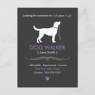 Chien Walker Marcher Affaires Carte postale Public