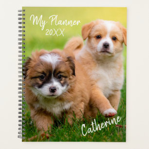 Chiens