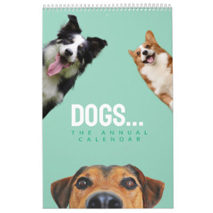 Chiens Adorables Calendrier Annuel Pour Les Amoure