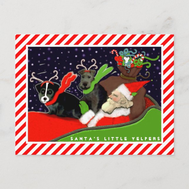 Chiens amusants Cartes de Noël (Devant)