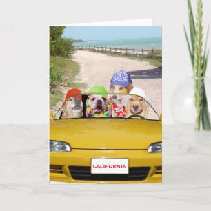 Chiens amusants / Labs Surfer Carte d'anniversaire