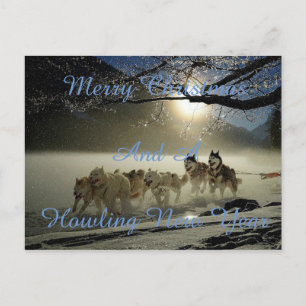 Chiens courants en carte postale de neige