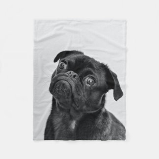 Chiens Couverture photographique Auto-façade 