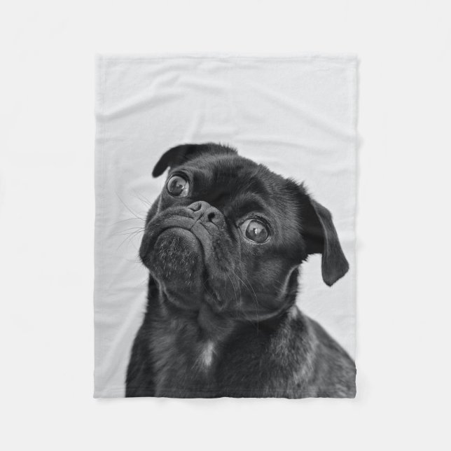 Chiens Couverture photographique Auto-façade  (Devant)