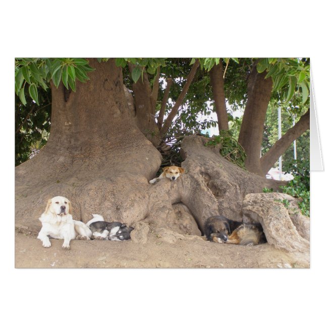 Chiens dans un arbre (Devant horizontal)