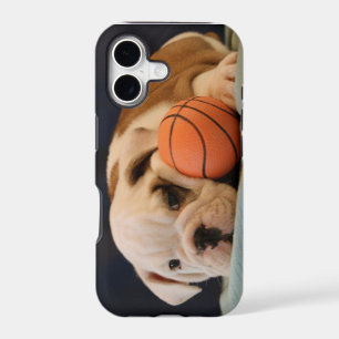 Chiens de basketball Bouledogue Anglais