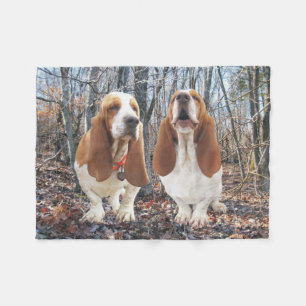 Chiens de Basset Hound dans la couverture