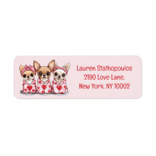 Chiens de Chihuahua de la Saint-Valentin