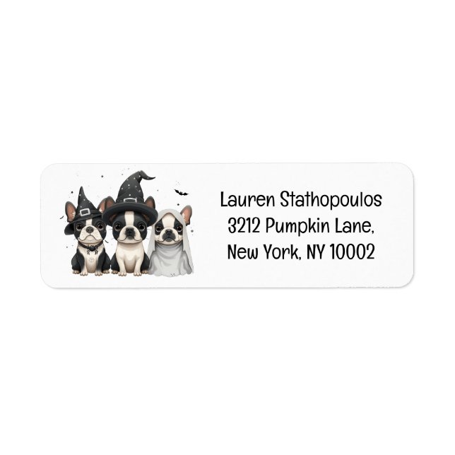 Chiens de Halloween Boston Terrier (Devant)