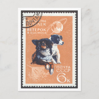 Chiens de l'espace carte postale Vétérinaire et Ug
