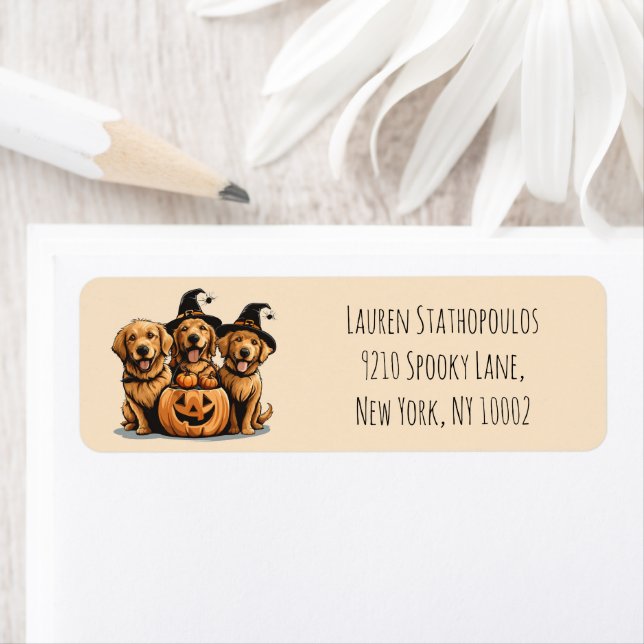 Chiens de l'Halloween Golden Retriever Jack-o'-lan (En situation)