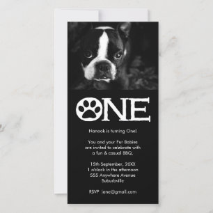 Chiens de marionnettes 1er Carte photo d'anniversa