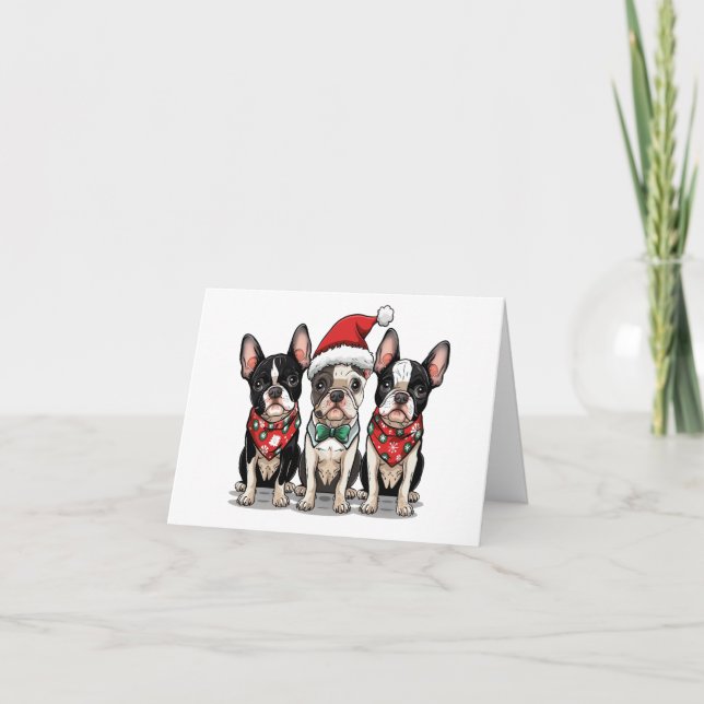 Chiens de Merci Noël Boston Terrier (Devant)