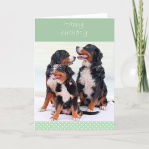 Chiens de montagne bernois Bonne carte de voeux d'