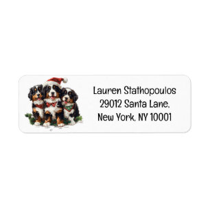 Chiens de montagne bernois de Noël