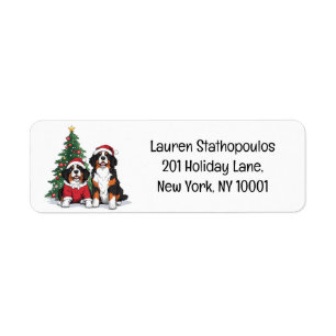 Chiens de montagne bernois de Noël