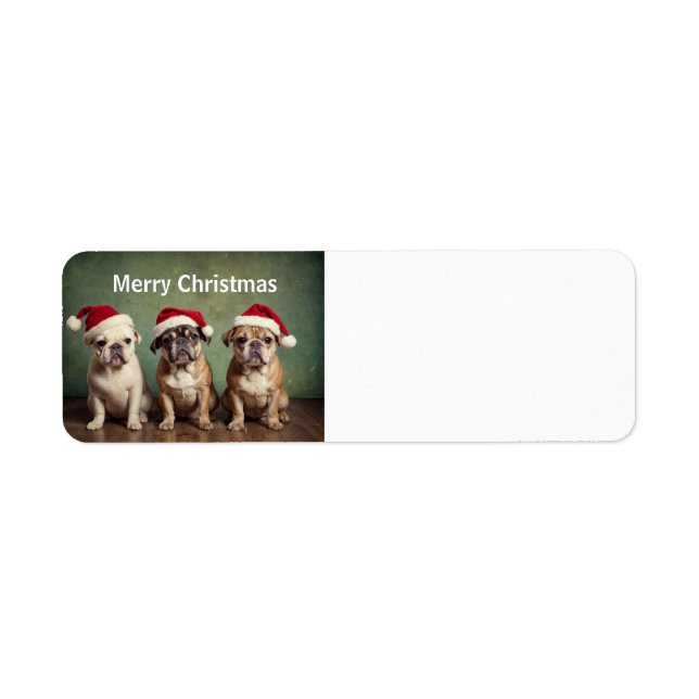 Chiens de Noël joyeux (Devant)