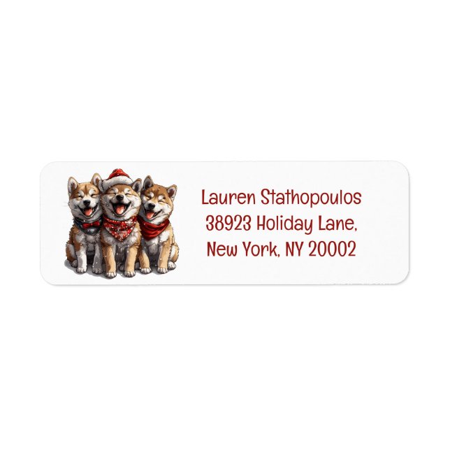 Chiens de Noël Shiba Inu Père Noël (Devant)
