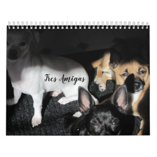 Chiens de petite Secourt Calendrier de 12 mois