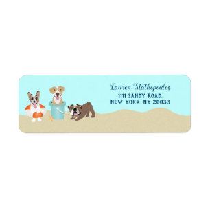 Chiens de plage bleu