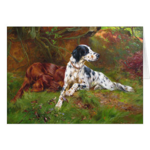 Chiens de poseur anglais et irlandais de cru -,