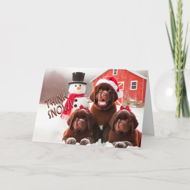 Chiens de Terre-Neuve Brown, Carte de Noël de neig (Devant)