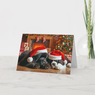 Chiens de Terre-Neuve - Carte de Noël