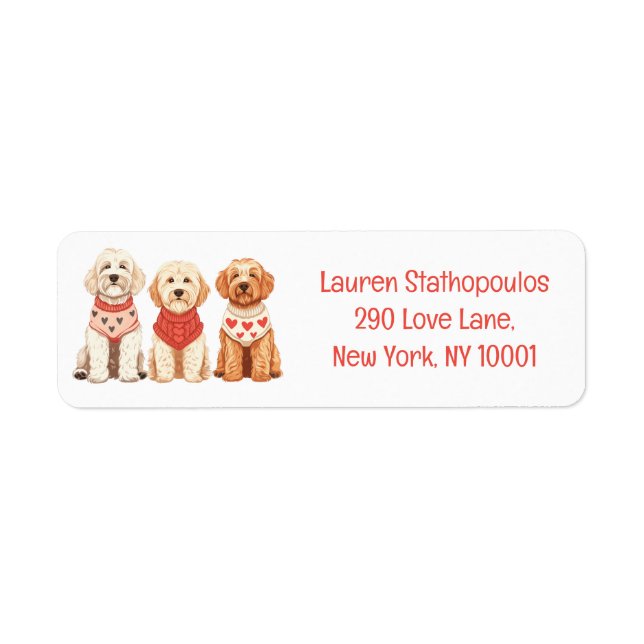 Chiens de Valentine Goldendoodle (Devant)