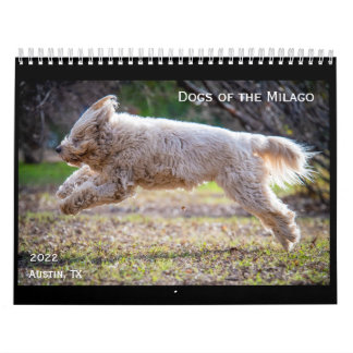 Chiens du calendrier Milago