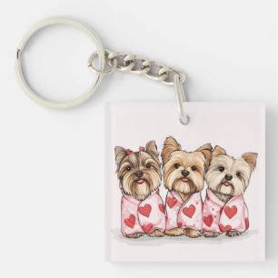 Chiens du Yorkshire Terrier de Valentines Day