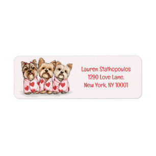 Chiens du Yorkshire Terrier de Valentines Day