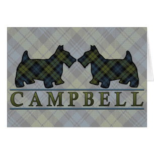 Chiens écossais Campbell Tartan