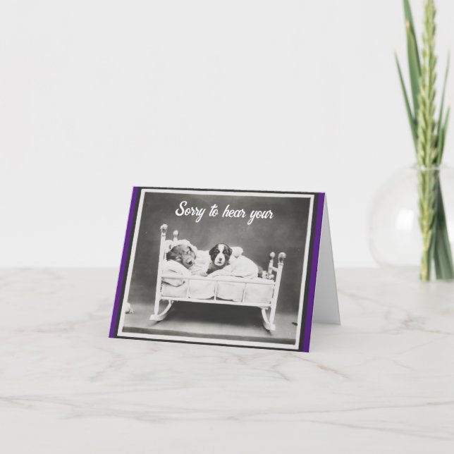 Chiens En Carte De Voeux Lits (Devant)