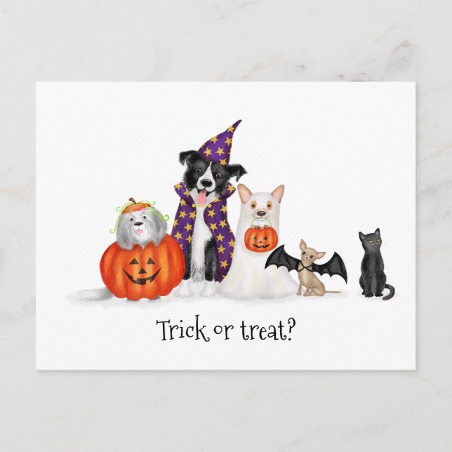 Chiens en costumes d'Halloween carte postale (Devant)