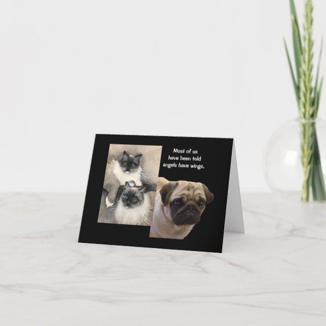 Chiens et chats Animal Angels Carte de voeux pliée (Devant)