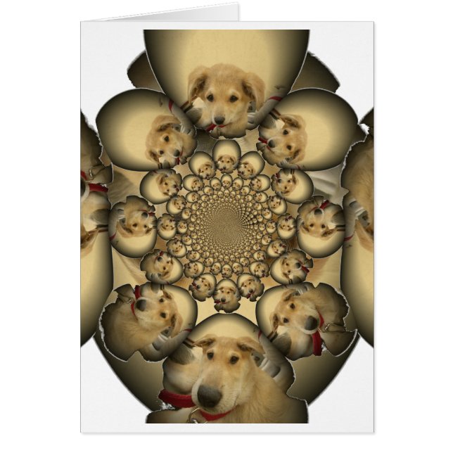 Chiens et chiots Hakuna Matta à l'infini sty extra (Devant)