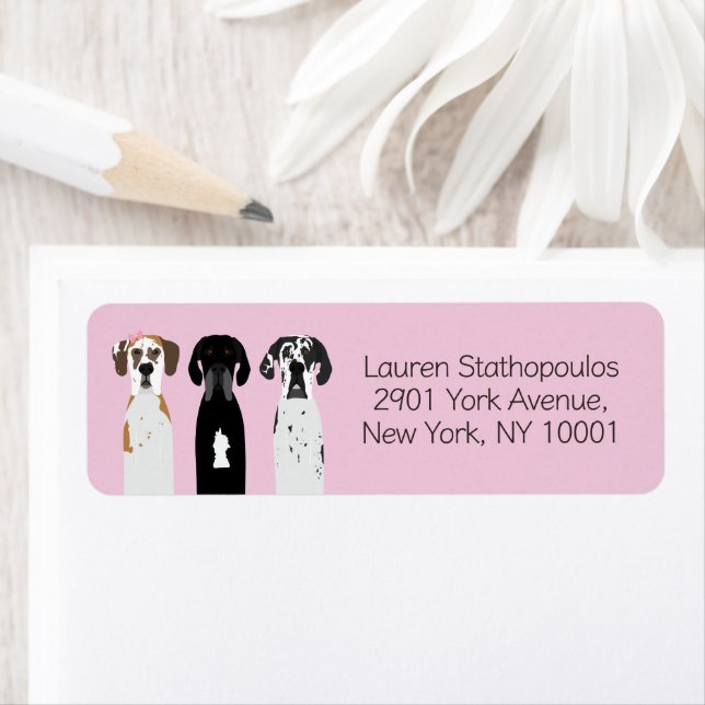 Chiens géants (En situation)