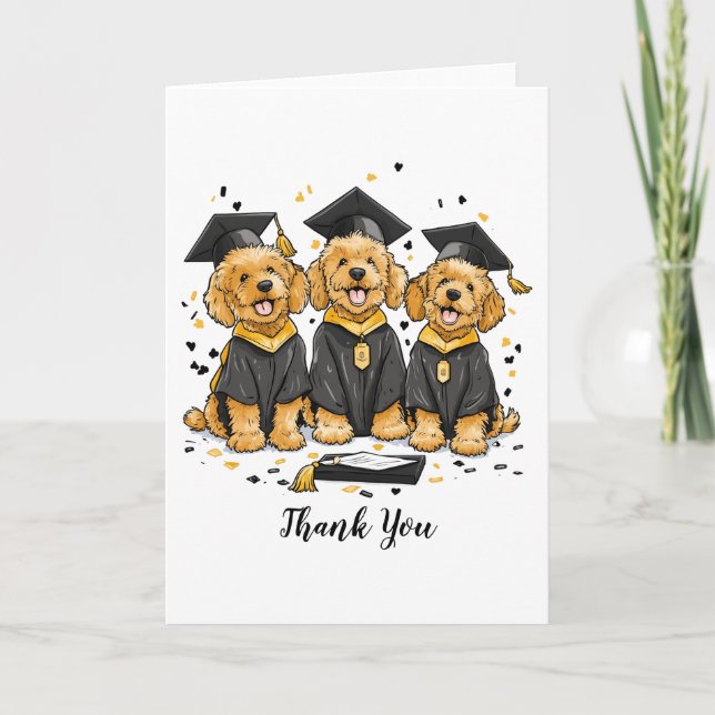 Chiens Goldendoodle Merci (Devant)
