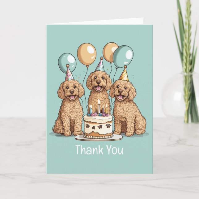 Chiens Goldendoodle Merci (Devant)
