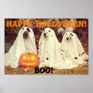 CHIENS PORTANT LE GHOST COSTUMES HALLOWEEN POSTER