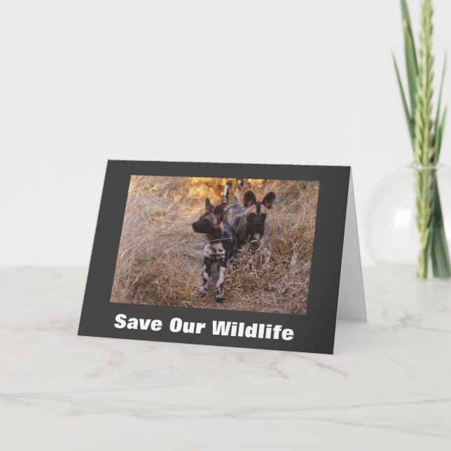 Chiens sauvages Sauvez notre carte de voeux pour l (Devant)