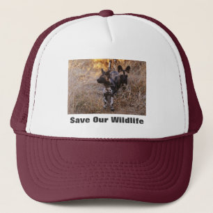 Chiens sauvages sauvez notre Casquette de la faune