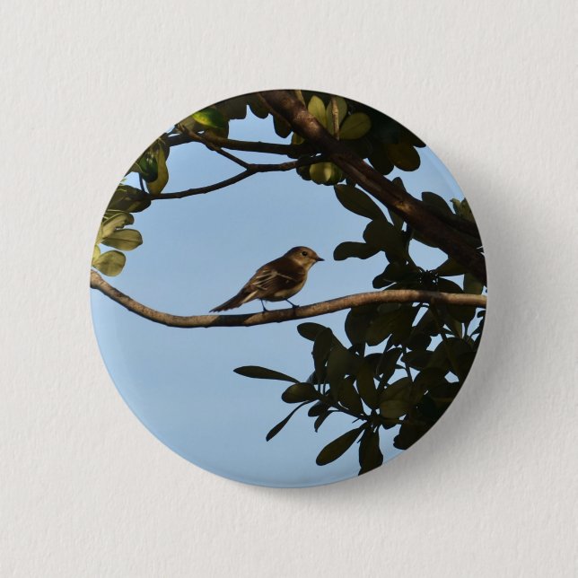 Chiffchaff 2 Inch Round Button (Front)