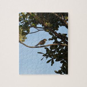 Chiffchaff Jigsaw Puzzle