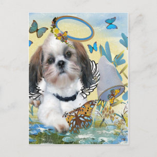 Chih Tzu Cartes Chaser Papillon