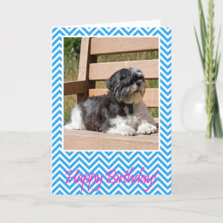 Chih Tzu Chien Bonne Carte de voeux d'anniversaire