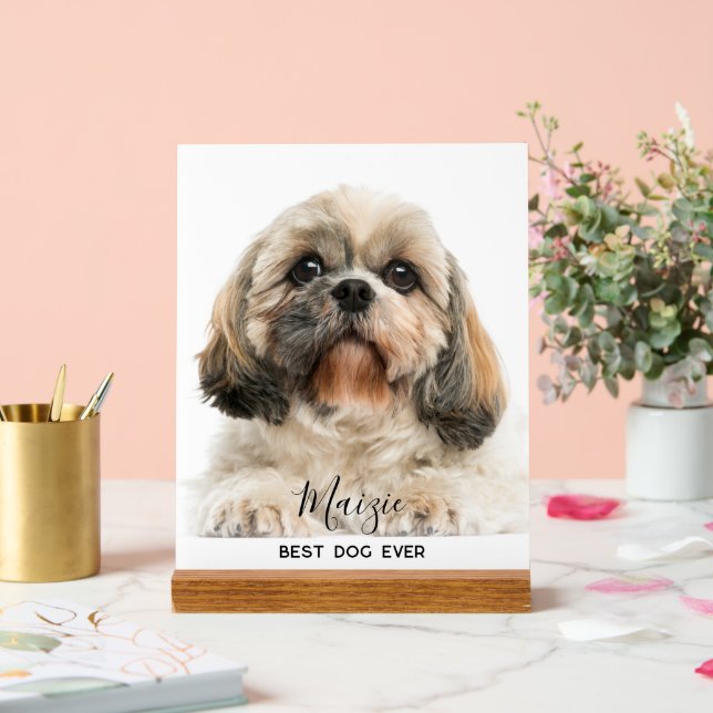 Chih Tzu Maman Personnalisée Animaux de Compagnie  (Mariage)