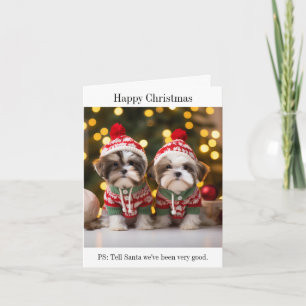 Chih Tzu Puppies Carte de Noël